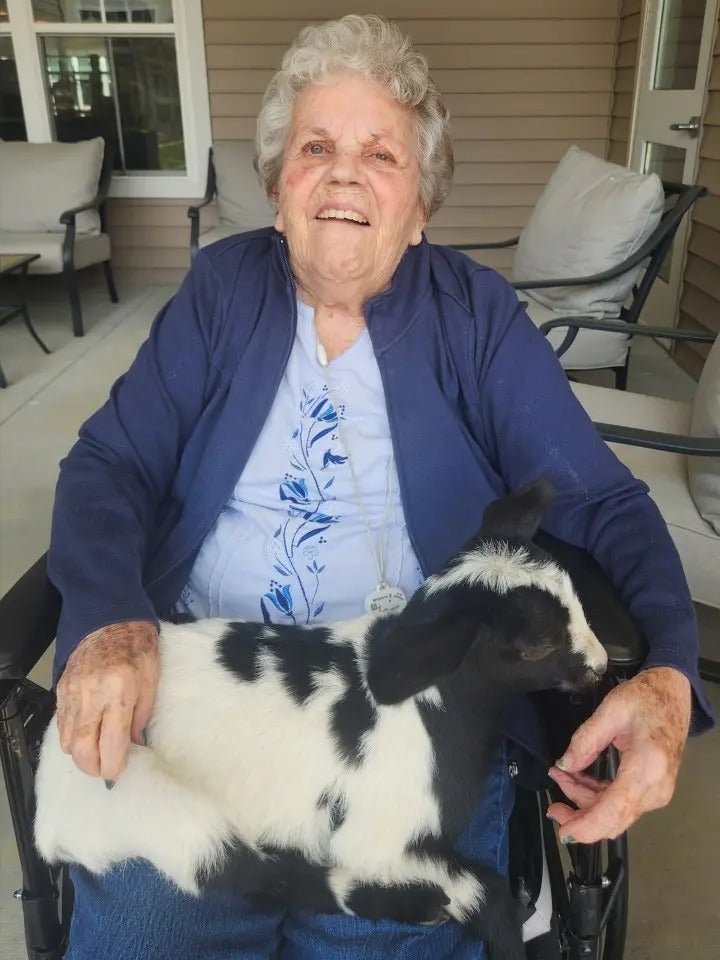 Mother’s Day with Batz Farm baby goats