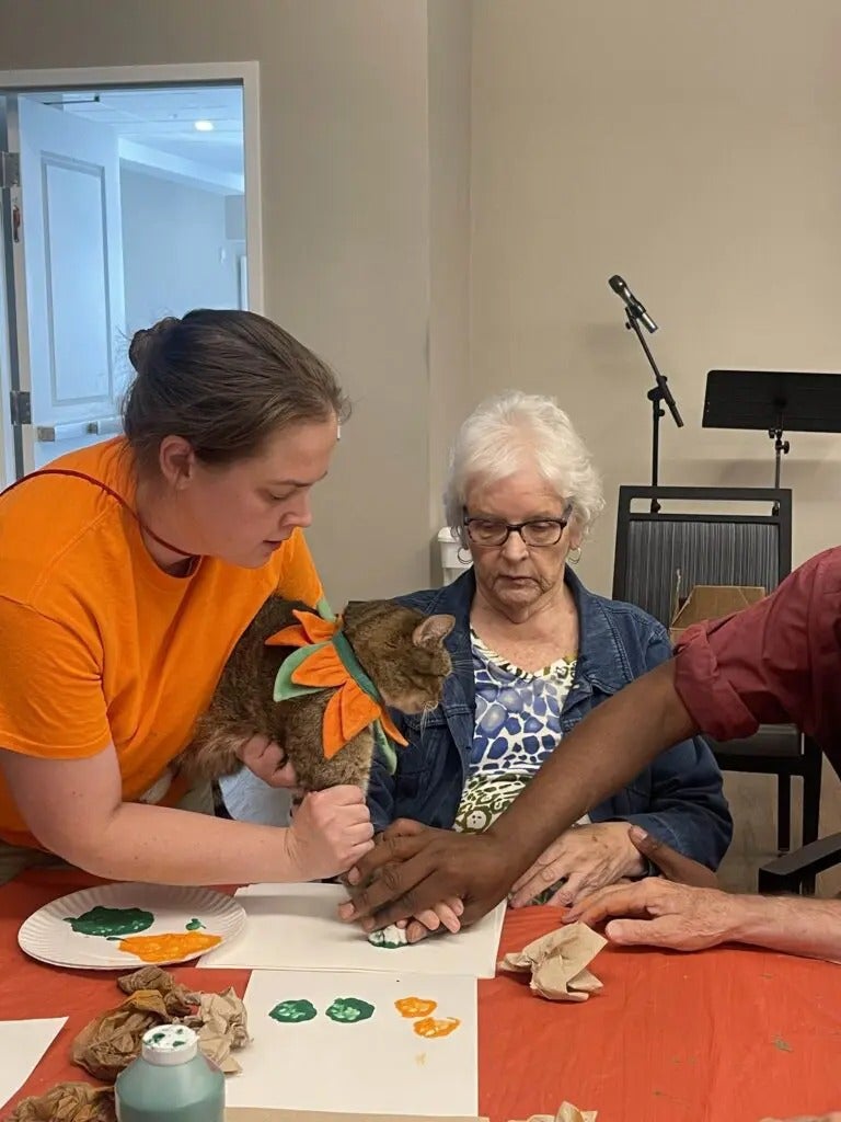 Cat Painting