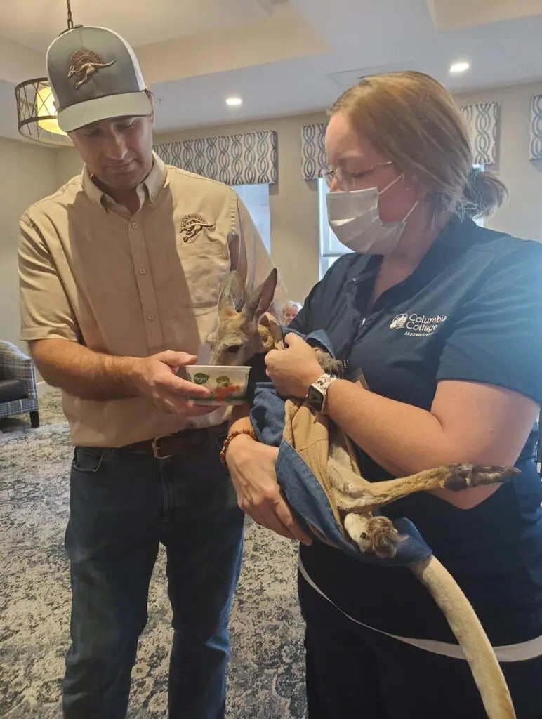Fun with Kangaroos!