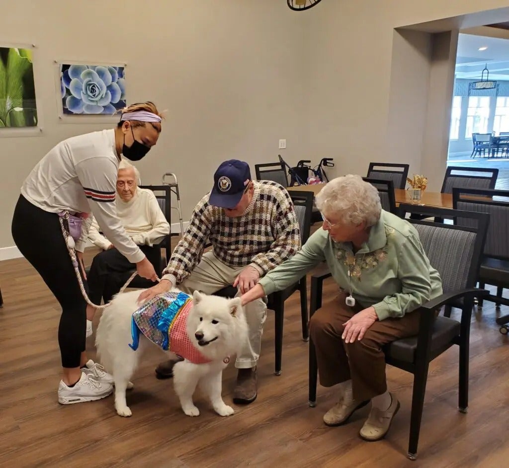 Alliance Pet Therapy