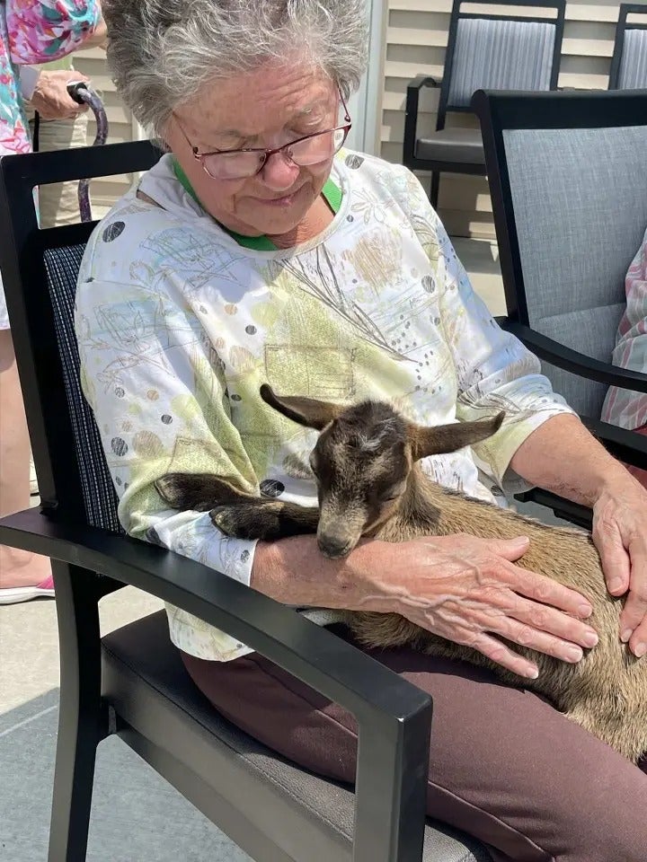 Mother’s Day with Batz Farm baby goats