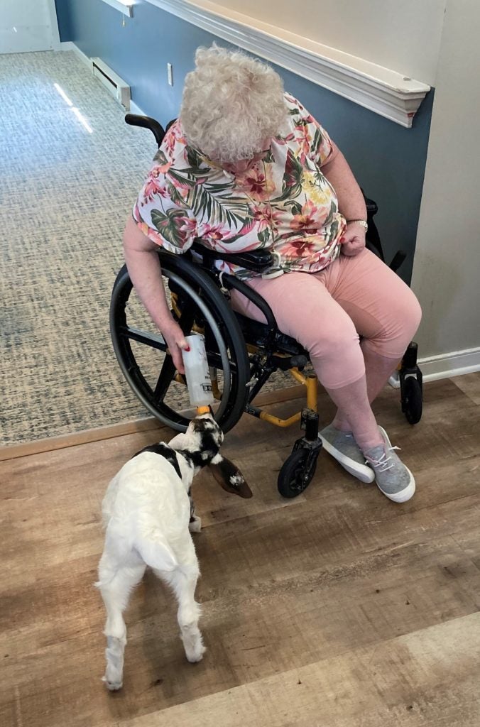 Residents and staff with baby goats