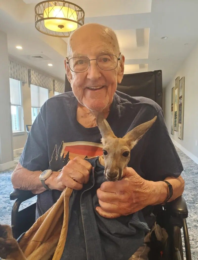 Fun with Kangaroos!