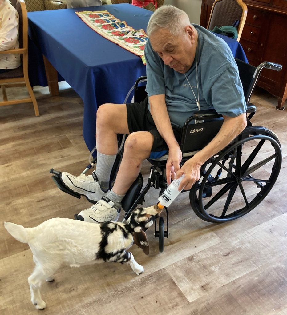 Residents and staff with baby goats