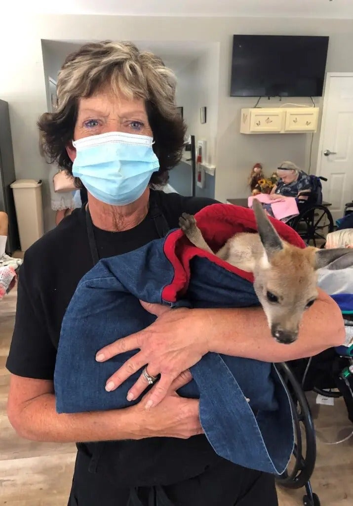 Kangaroo Cuddles & Puppy Snuggles