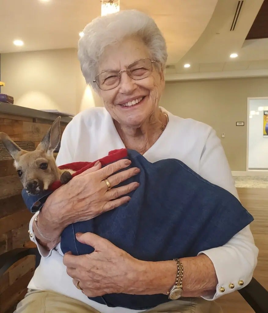 Fun with Kangaroos!