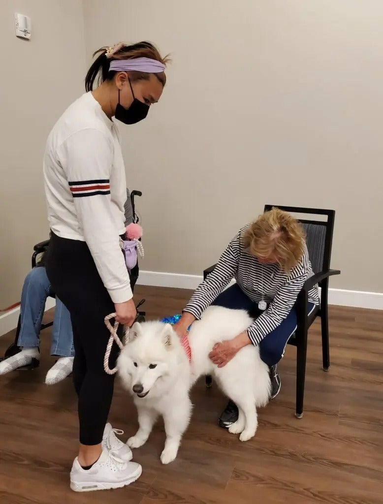 Alliance Pet Therapy