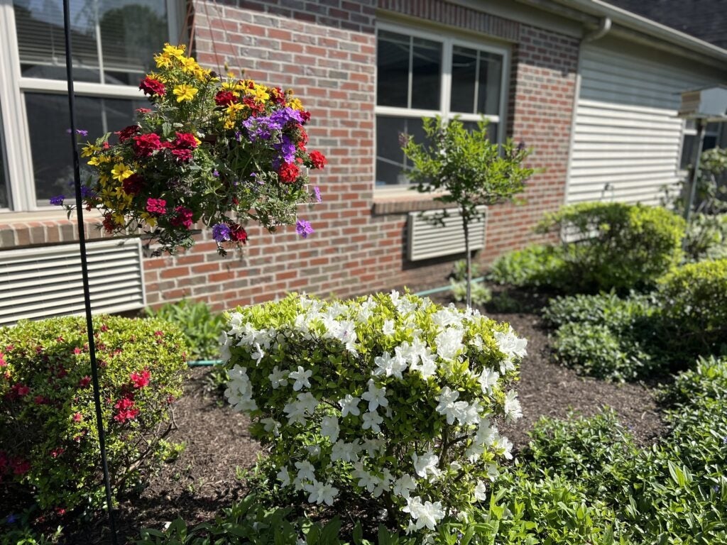 Growing Gardens