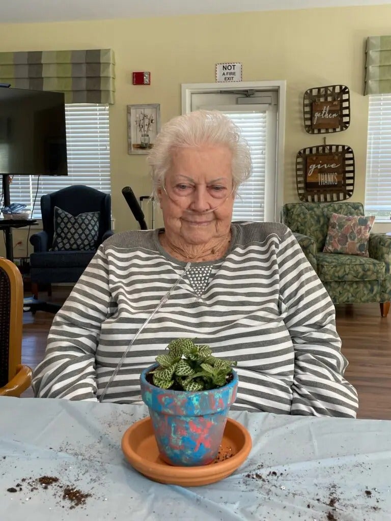 Painting with Plants