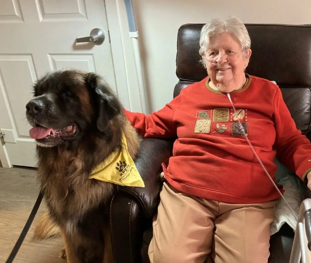 Therapy Dogs