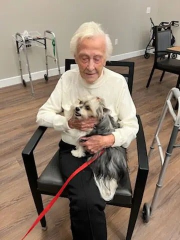 Alliance Pet Therapy