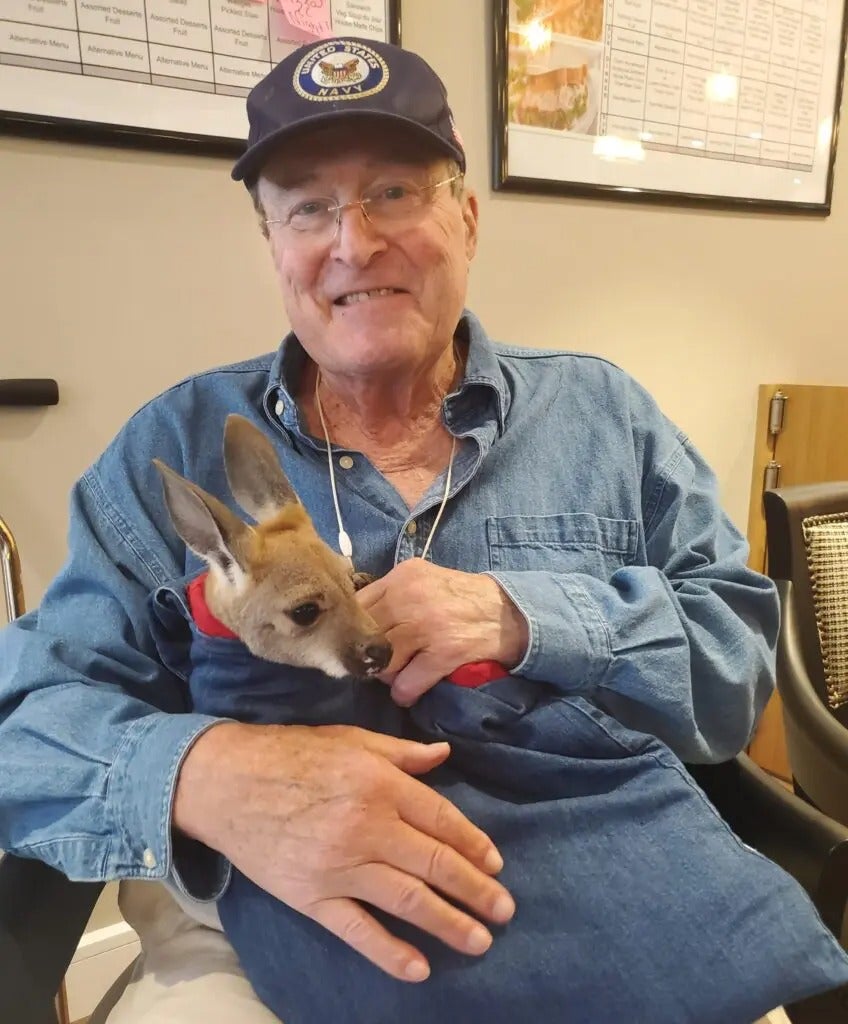 Fun with Kangaroos!