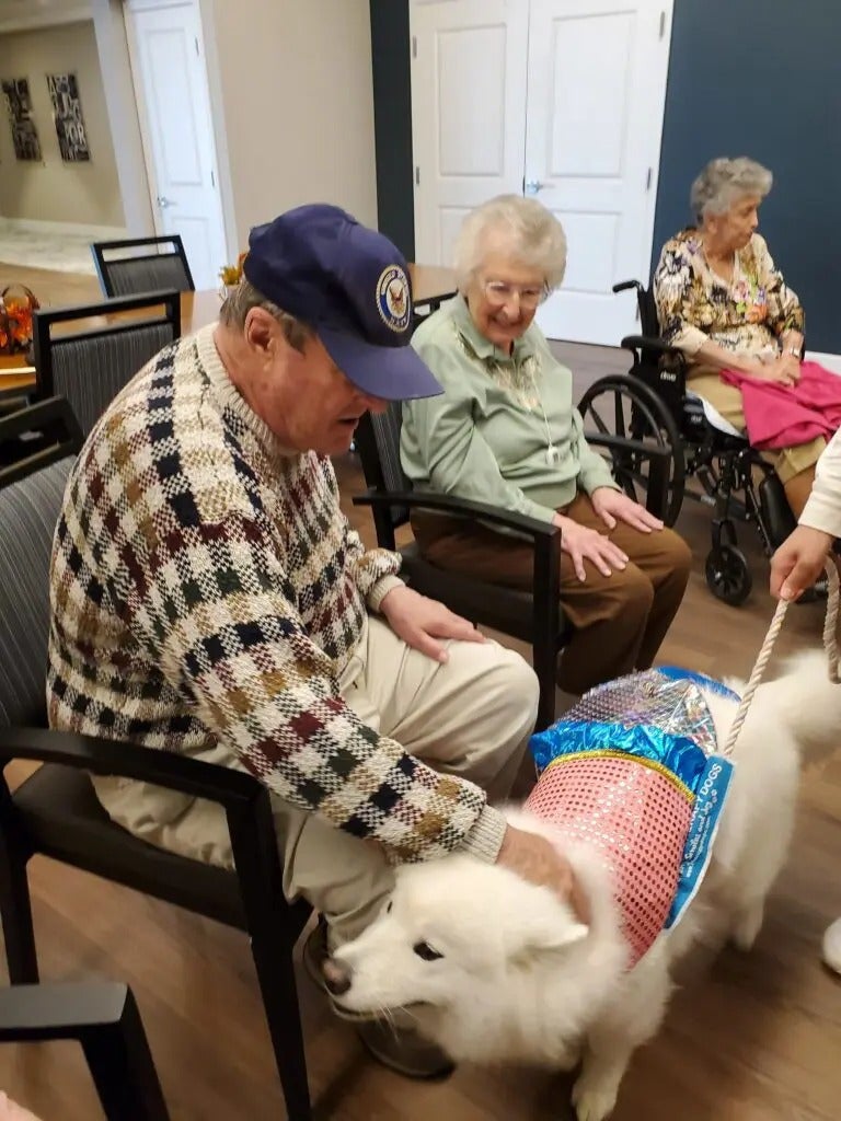 Alliance Pet Therapy