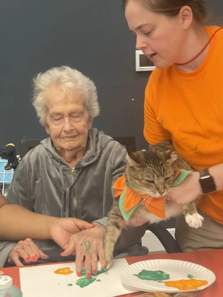 Cat Painting