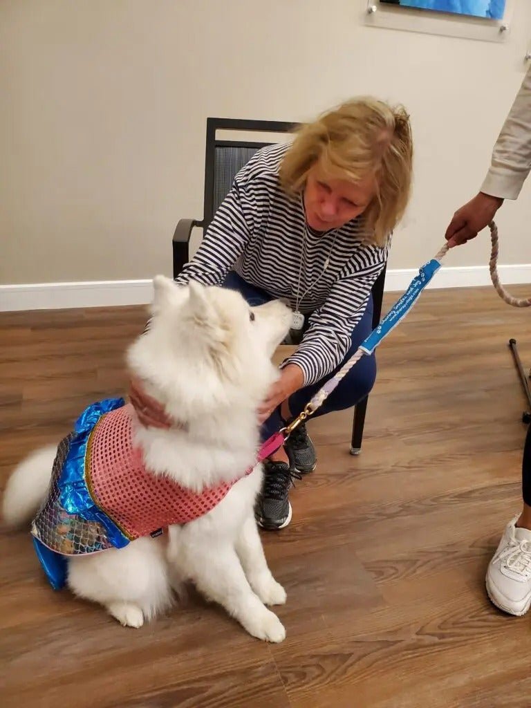Alliance Pet Therapy
