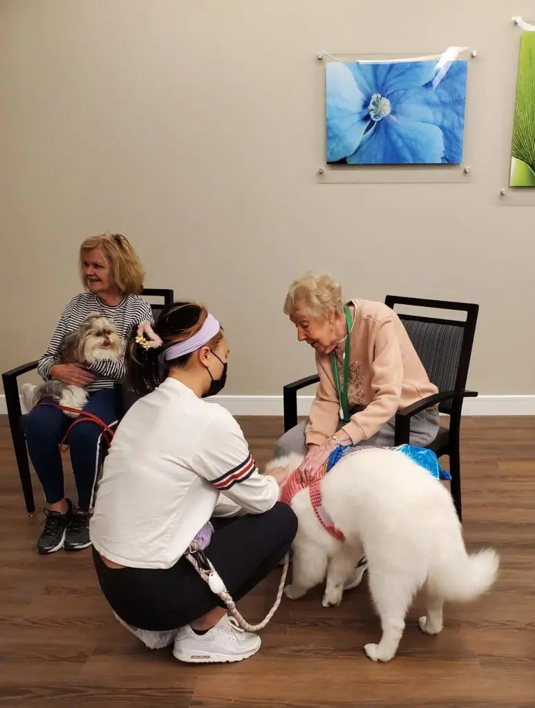 Alliance Pet Therapy