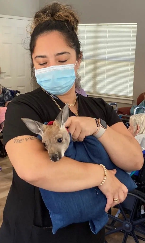 Kangaroo Cuddles & Puppy Snuggles