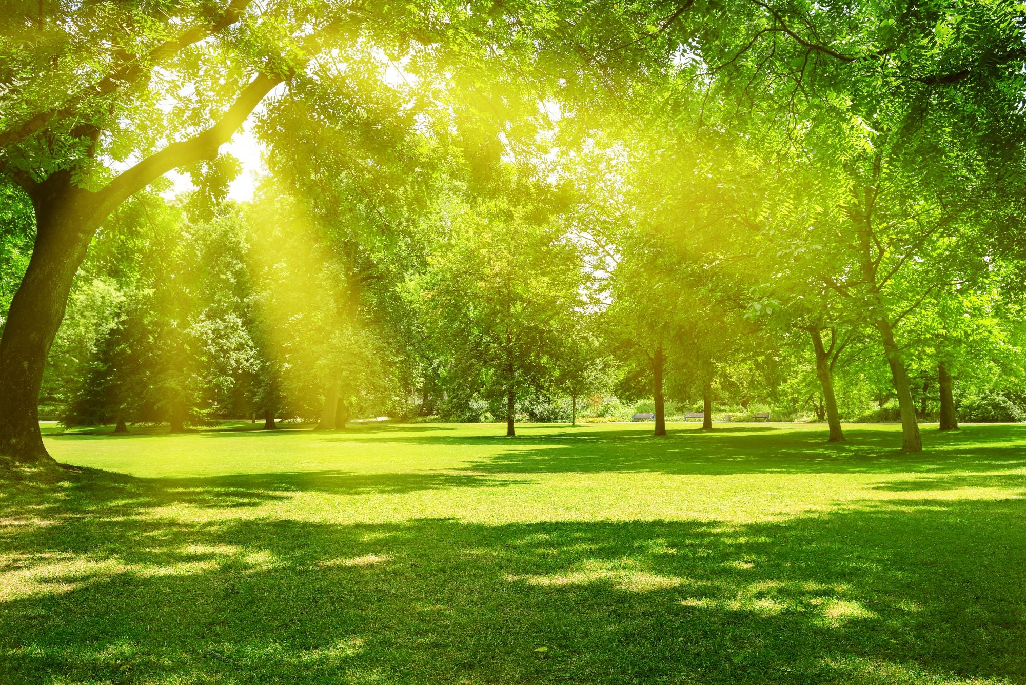 Parks