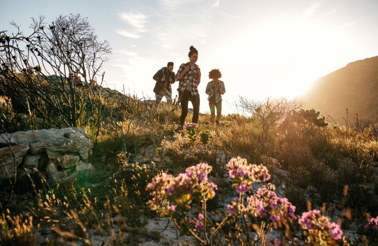 hiking on a hill during sunset