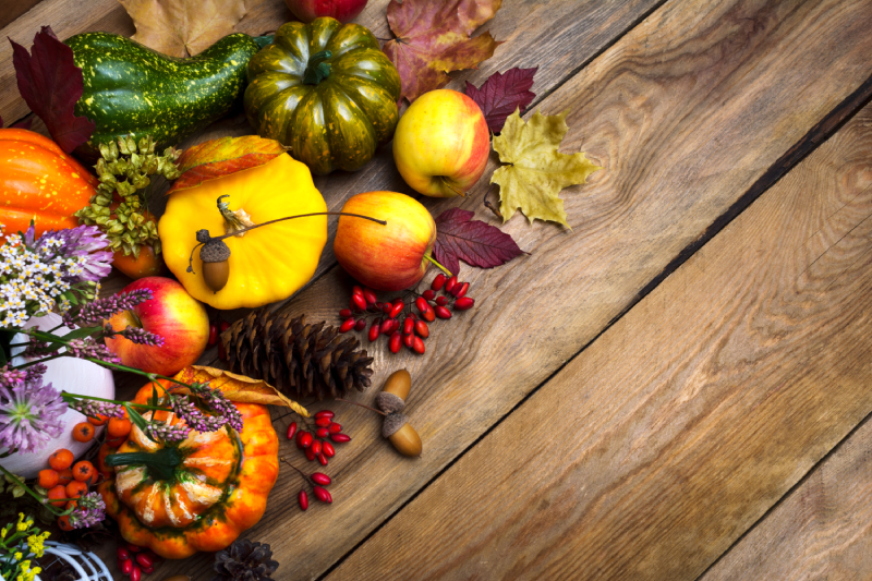 Best Restaurants to Taste Vegan Food