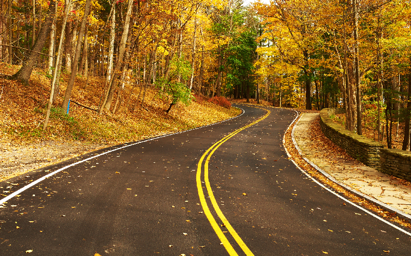 A winding road, flanked by autumn trees with golden leaves and a stone wall on the right.