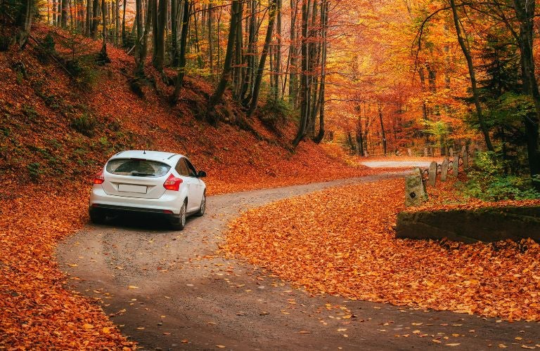 Have a fun fall photoshoot
