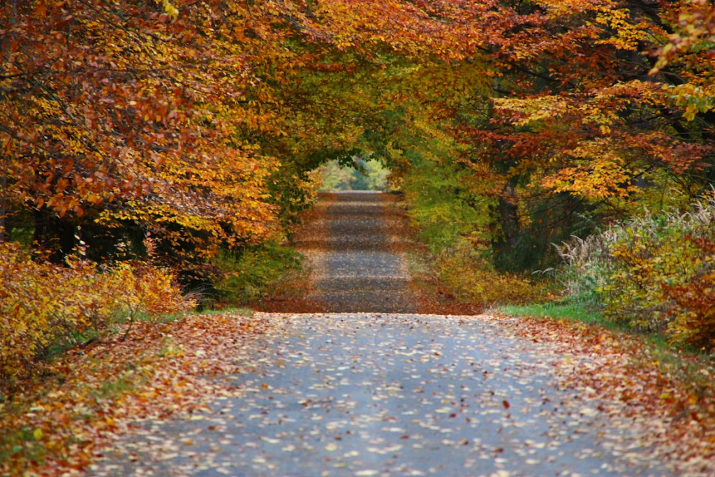 5 Best Fall Events in Oklahoma City