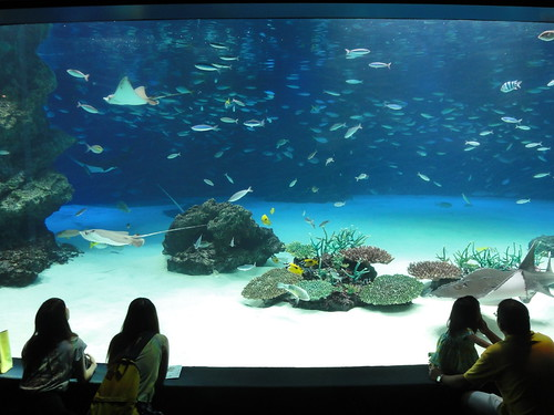Blue Zoo