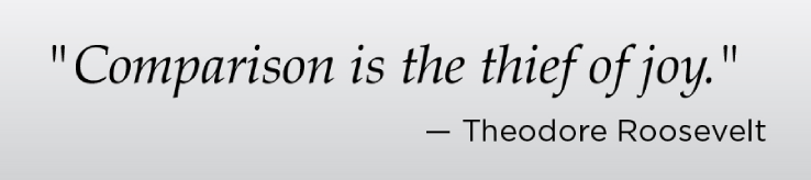 BB_Quotes_TRoosevelt