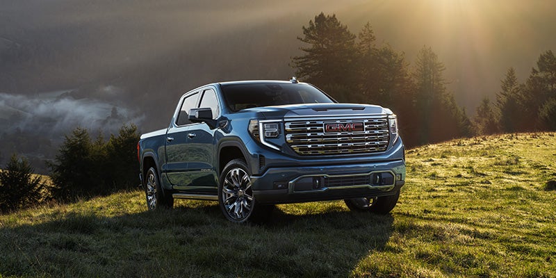 A blue GMC pickup truck parked on a grassy hill with trees and a luminous sky in the background.
