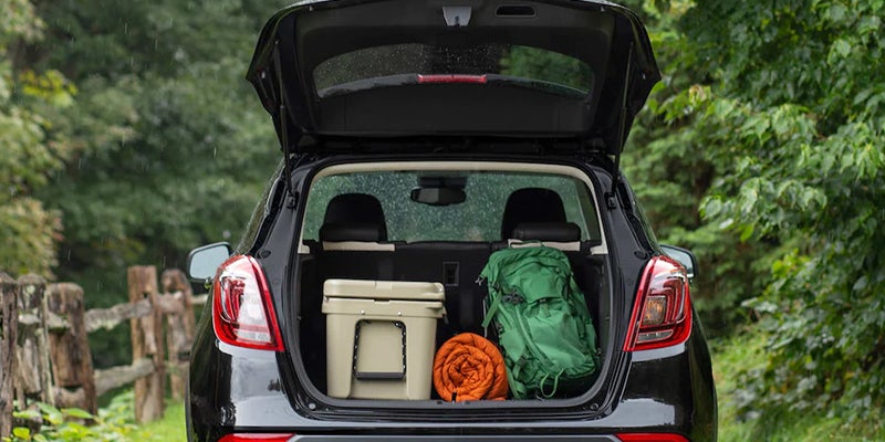 Open trunk of a black compact SUV parked on a forest path, containing a beige cooler