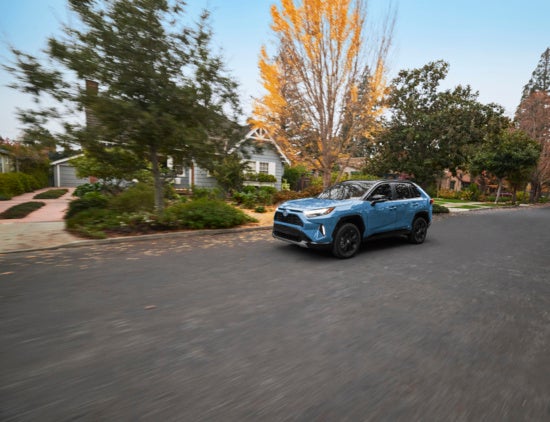 A blue Toyota RAV4 Prime sits angled on a paved surface, its black roof and wheels contrasting with the body.