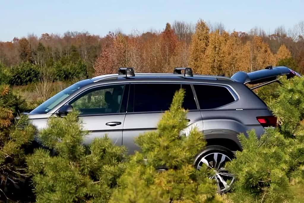 Transport Your Christmas Tree in a Volkswagen