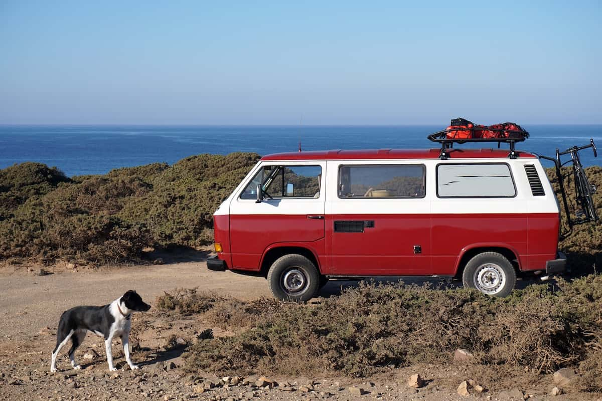 Safety Tips for Traveling with Your Pets