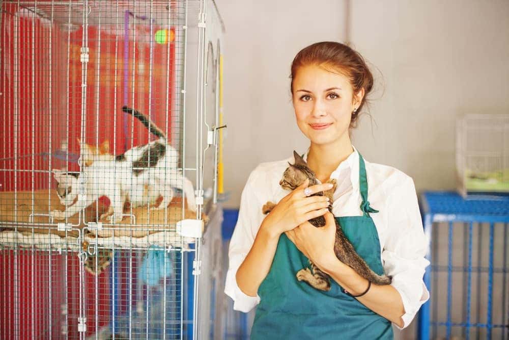 Animal Rescue League