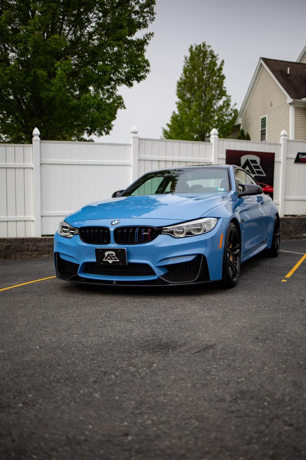 paint protection film