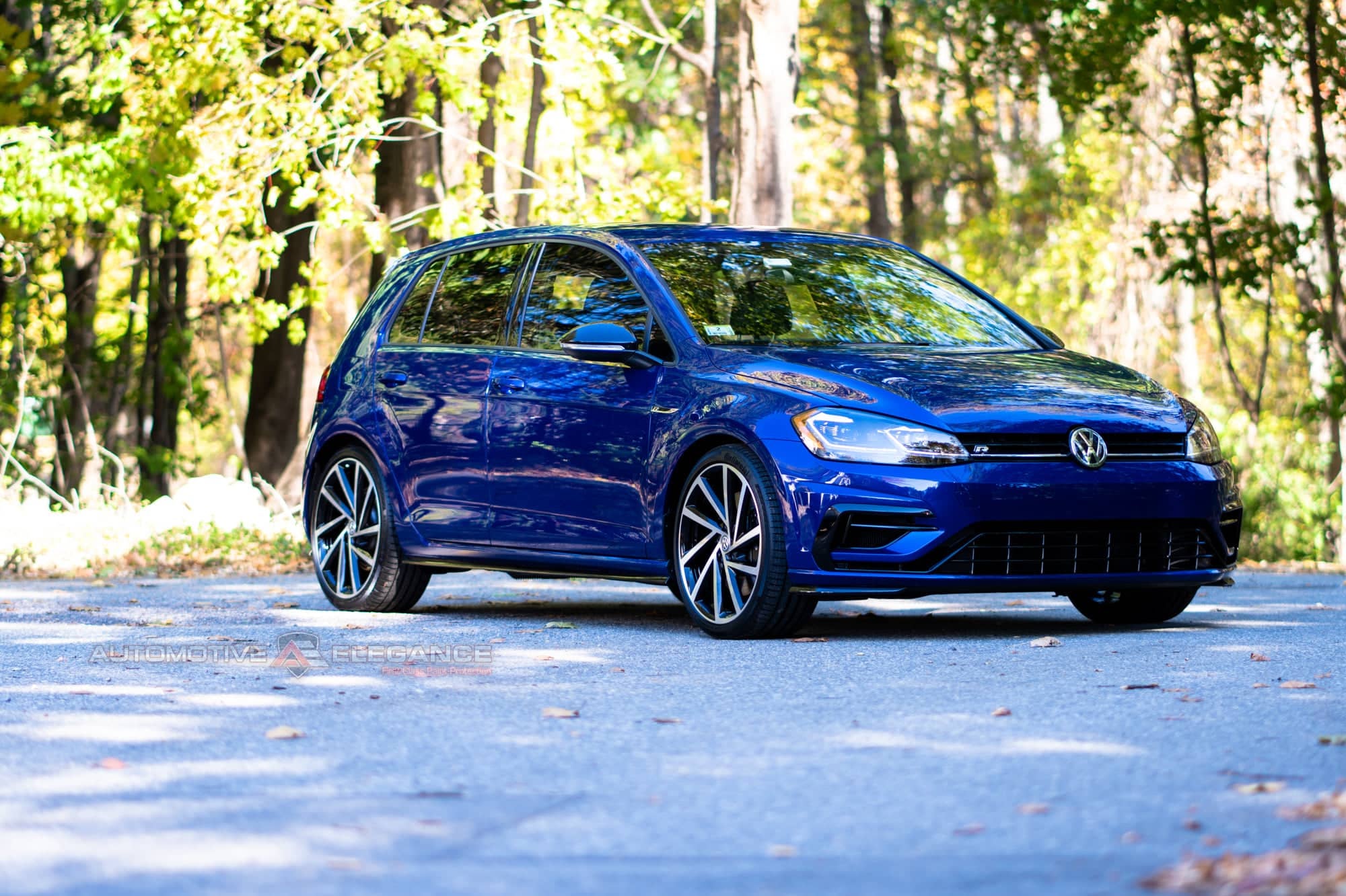 paint protection film installers