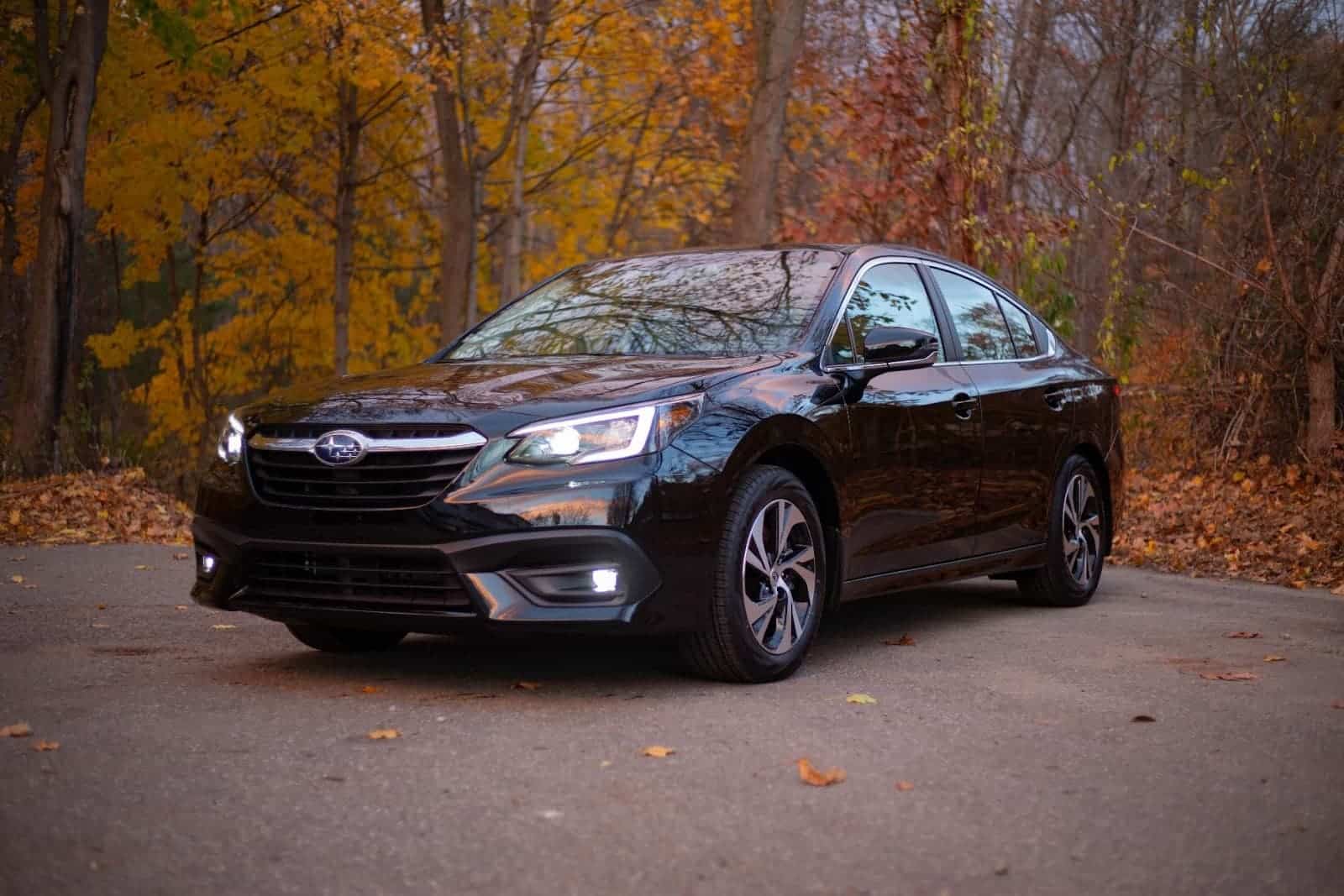 paint protection film