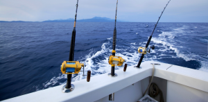 Three fishing rods mounted on the back of a boat with deep blue ocean and distant mountains in the background