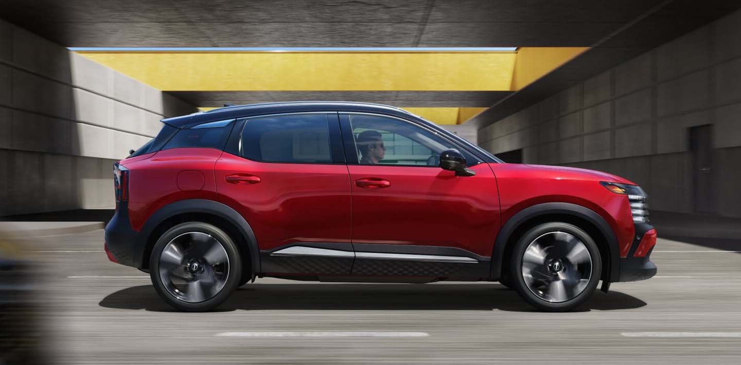 Image-3