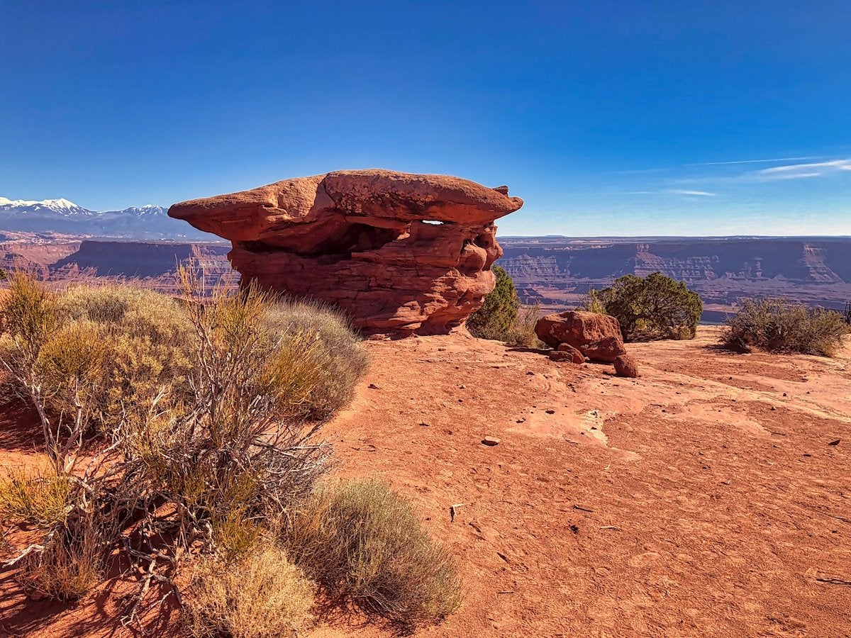 Glamping tent near Moab