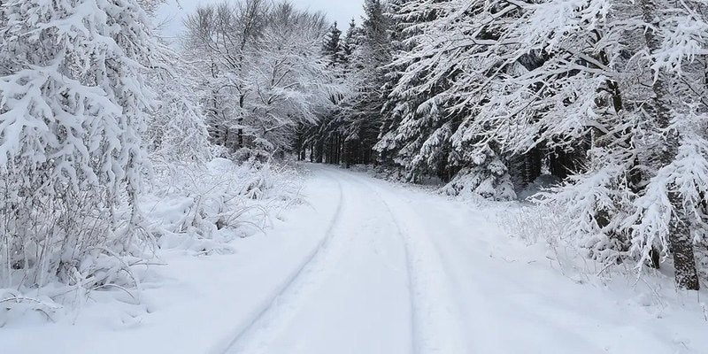 Snow-covered forest road in winter