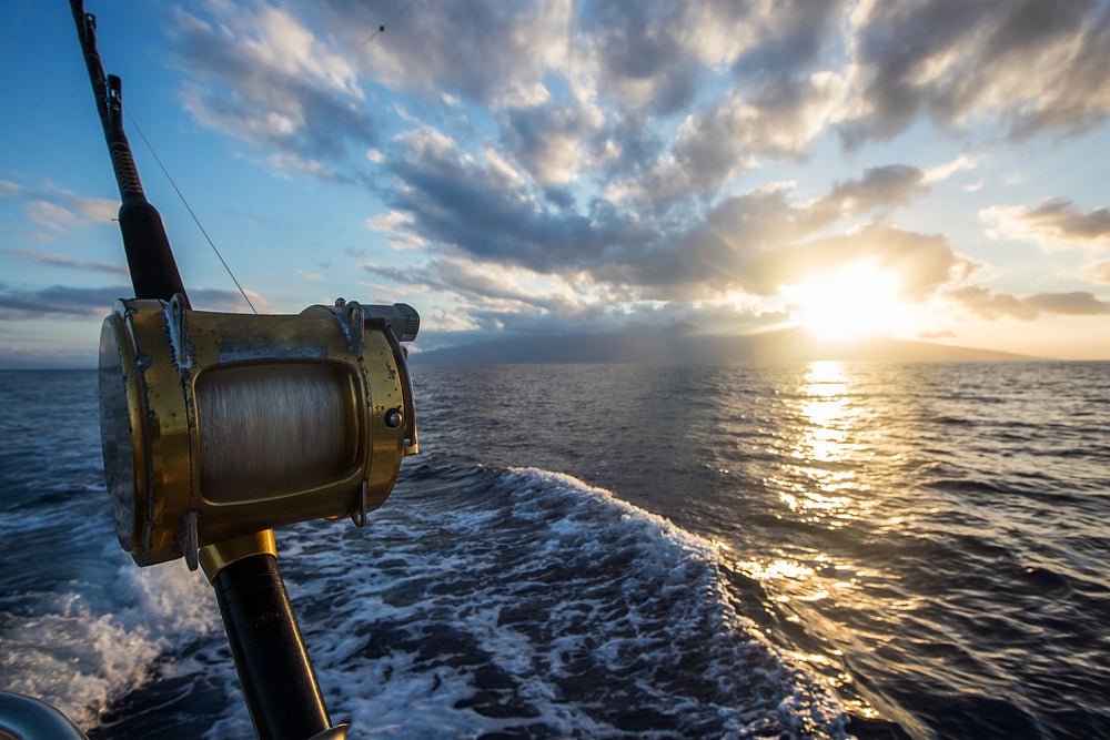 Deep Sea Fishing Rod