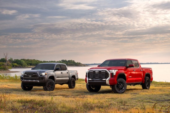 Toyota Tundra Lineup Truck