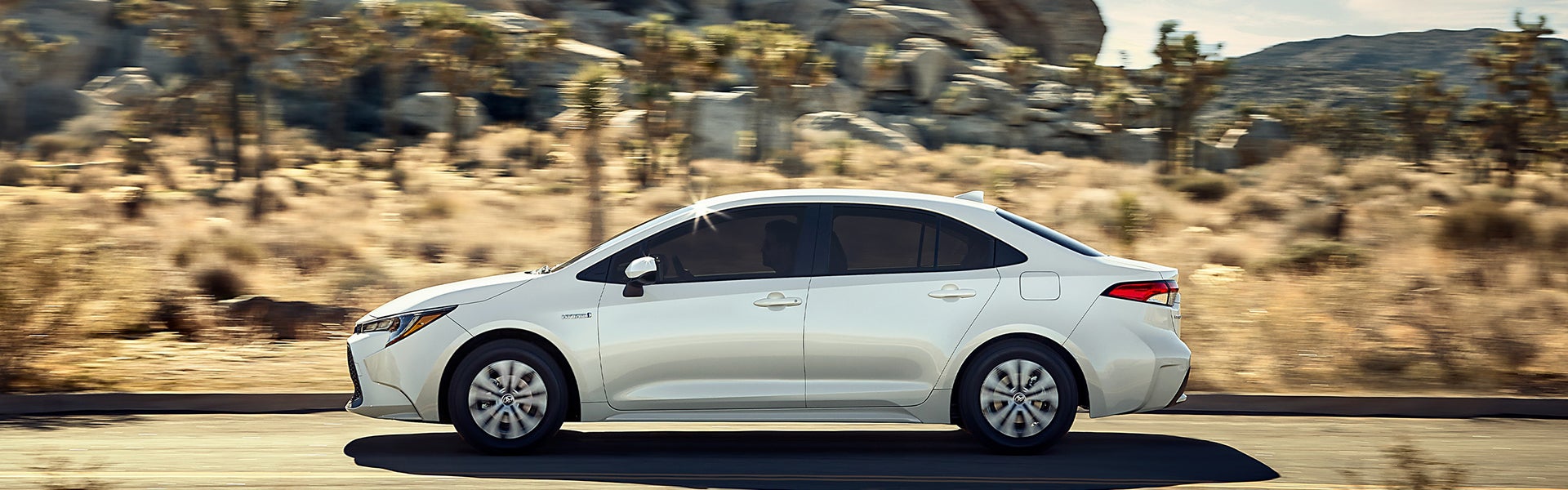 2020 corolla