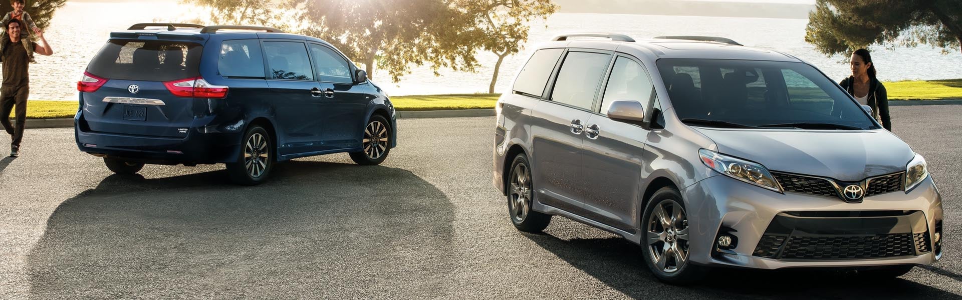 2019 sienna
