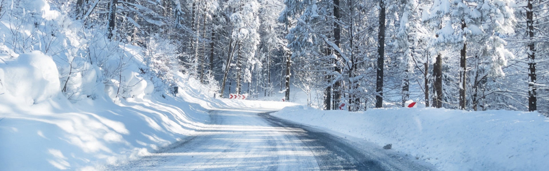 Snowy Road