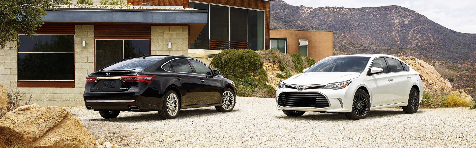 2019 avalon hybrid