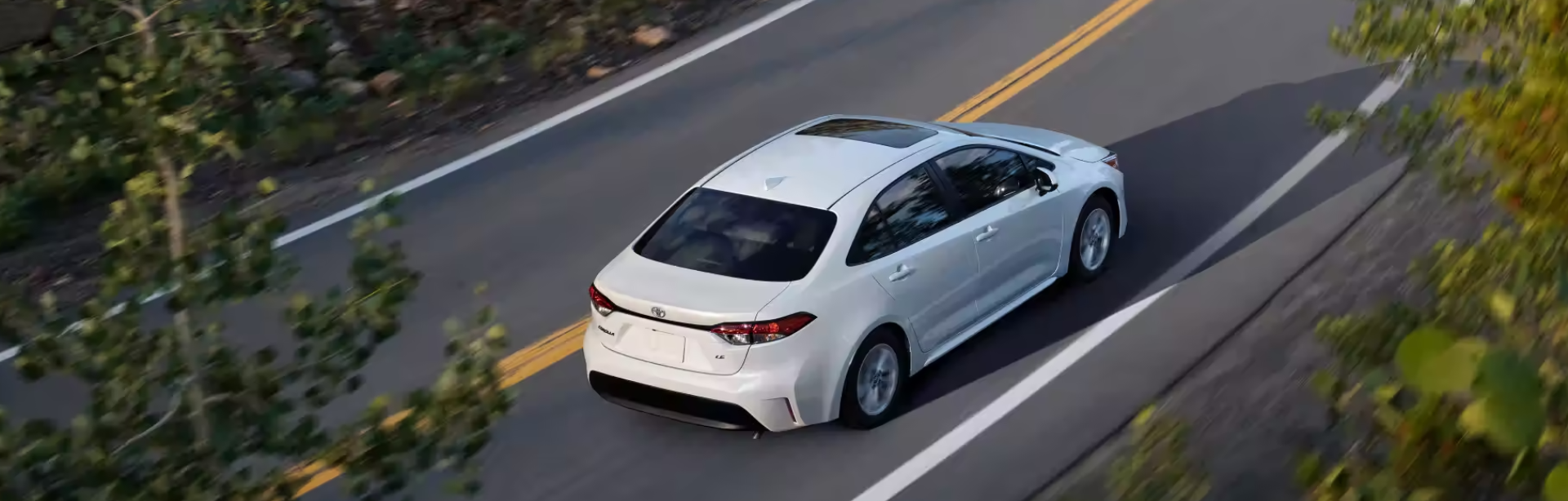2023-Corolla