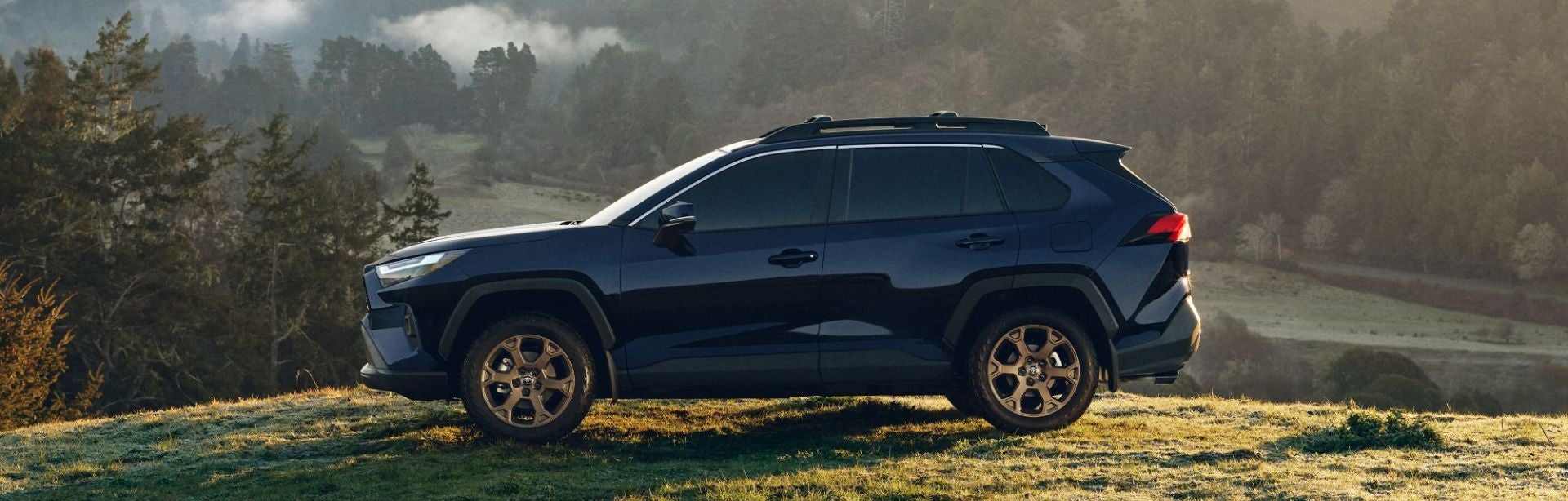 2024 RAV4 Hybrid